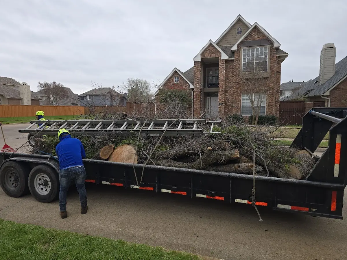 Expert Crown Reduction with proper safety equipment in Mccurtain